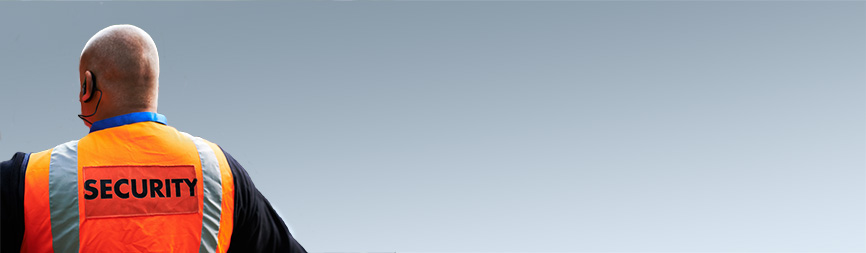 DDS Dicop Sicherheit